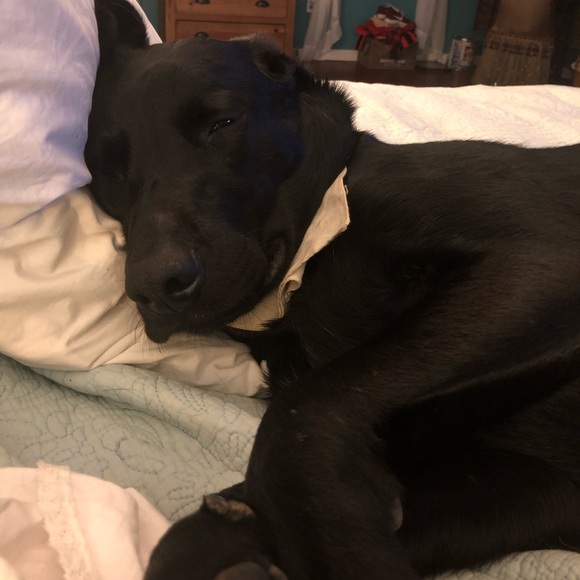 Meet your Posher, Lisa - Picture 3 of 3